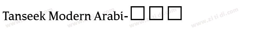 Tanseek Modern Arabi字体转换 Tanseek Modern Arabi字体转换